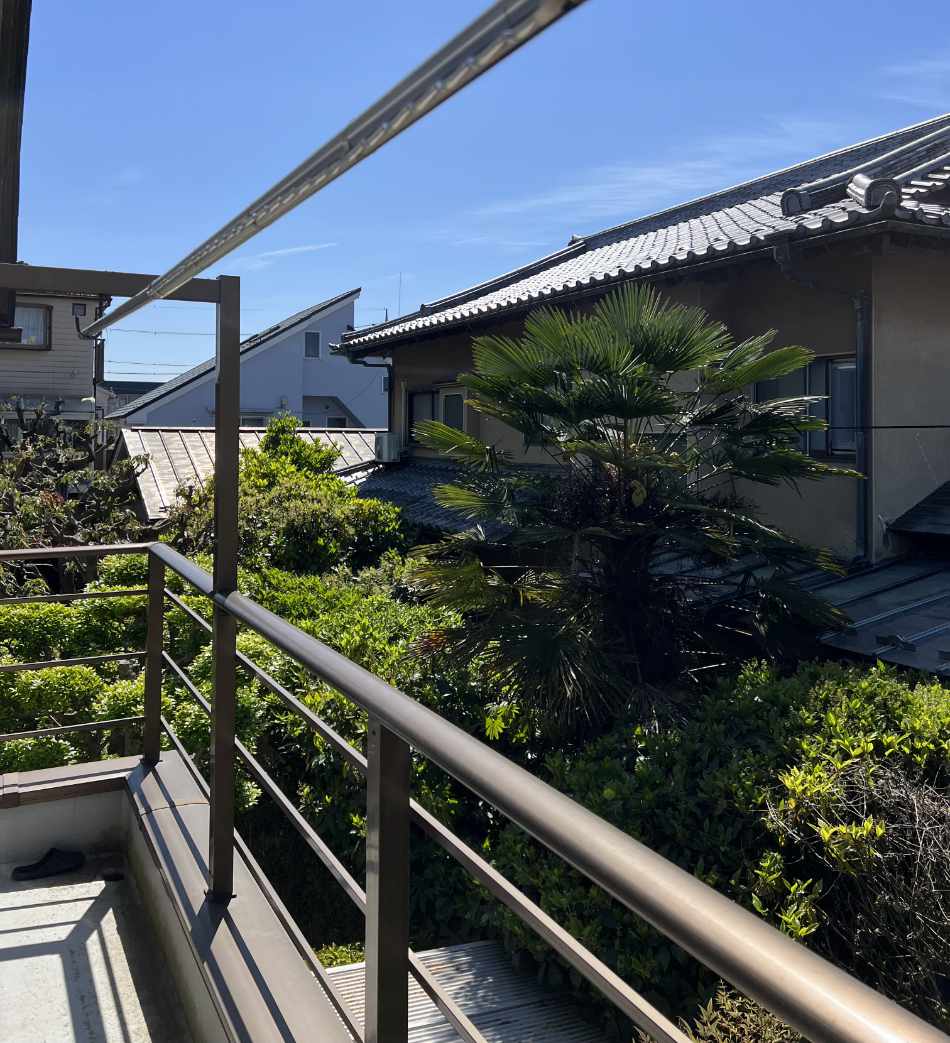 A window view of trees in Tama, Japan