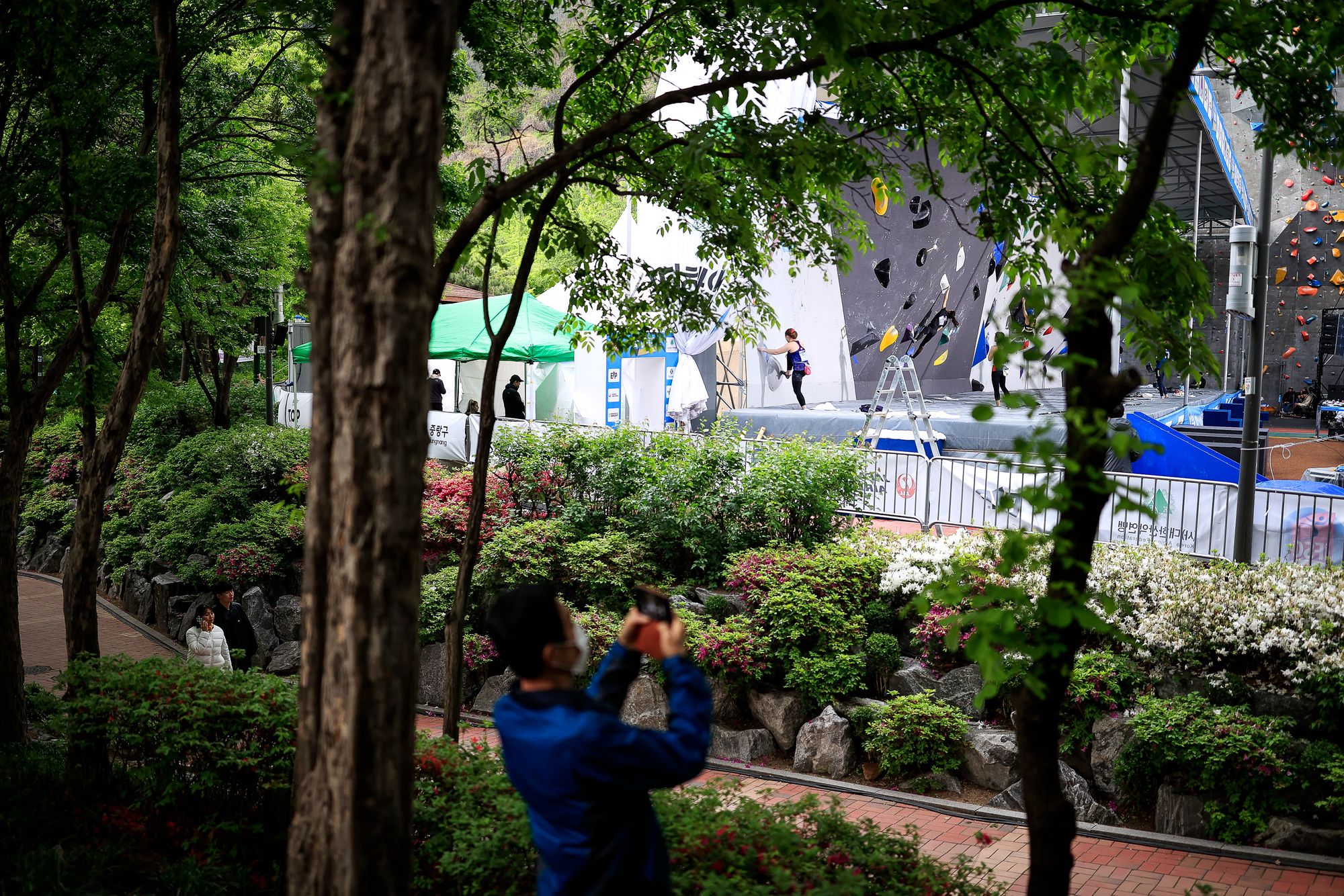 IFSC Seoul Women's Boulder Qualifications 