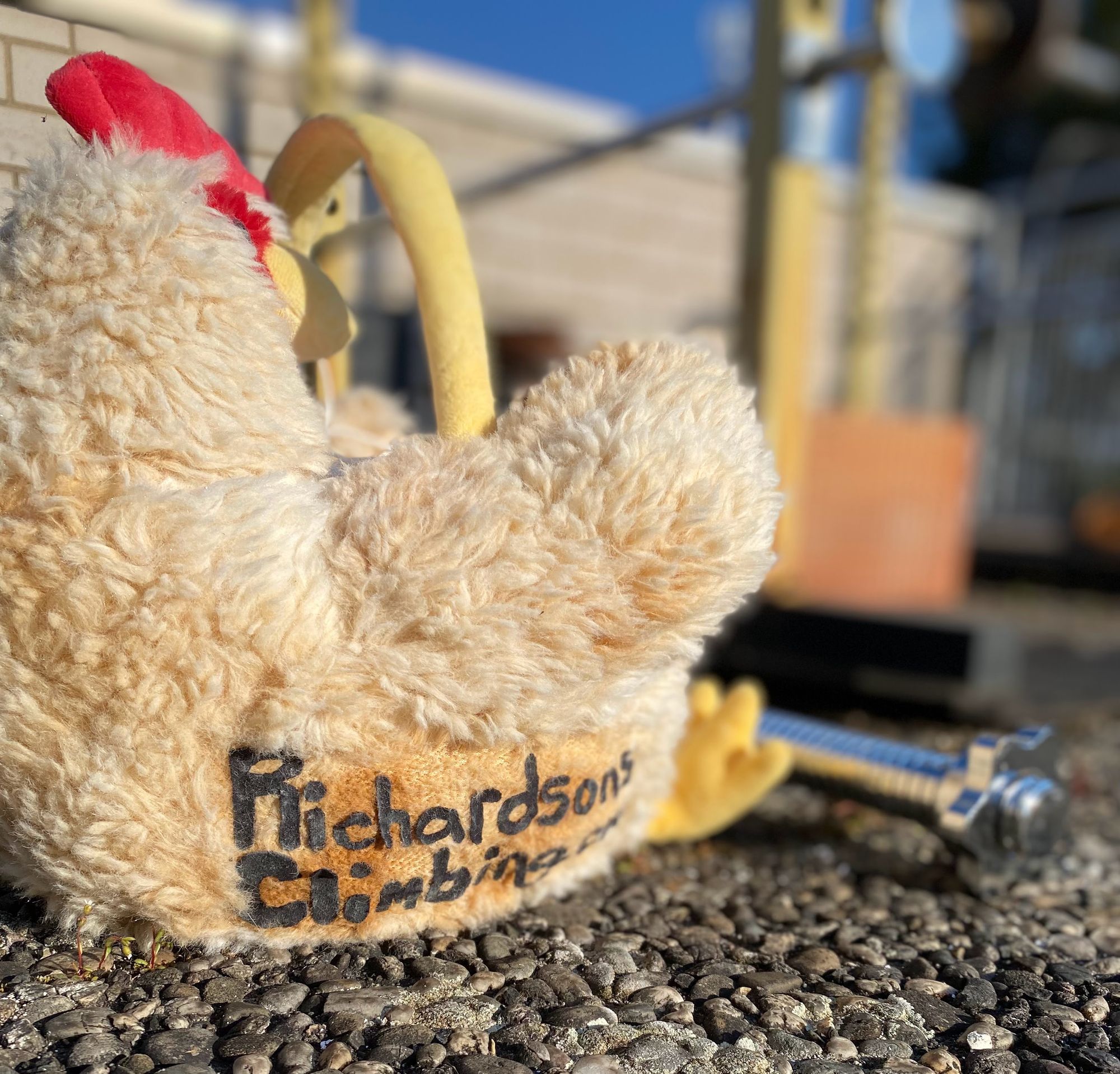 A chicken chalk bucket from Madison Fischer and Zach Richardson